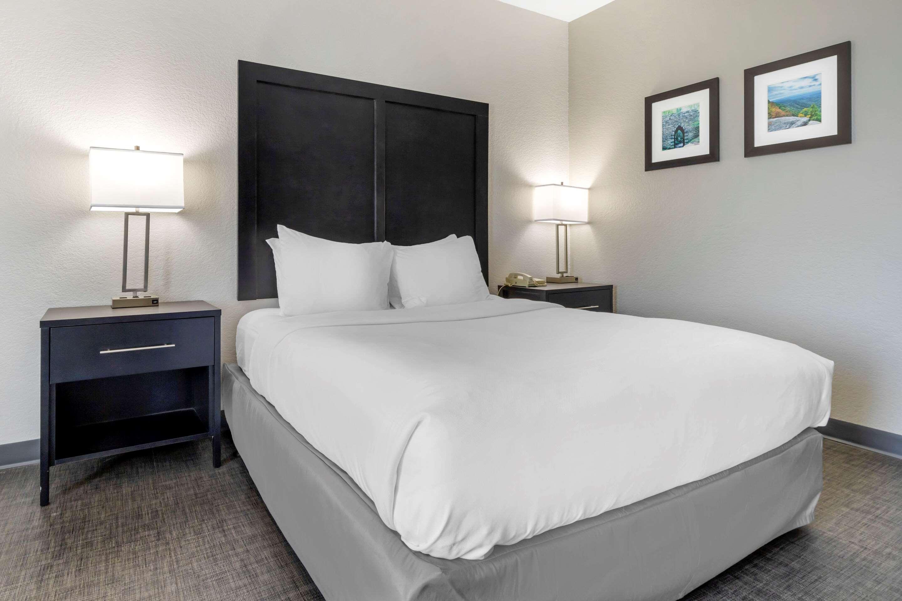 Comfort Inn & Suites Greer - Greenville エクステリア 写真